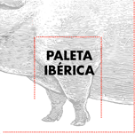 paleta iberica